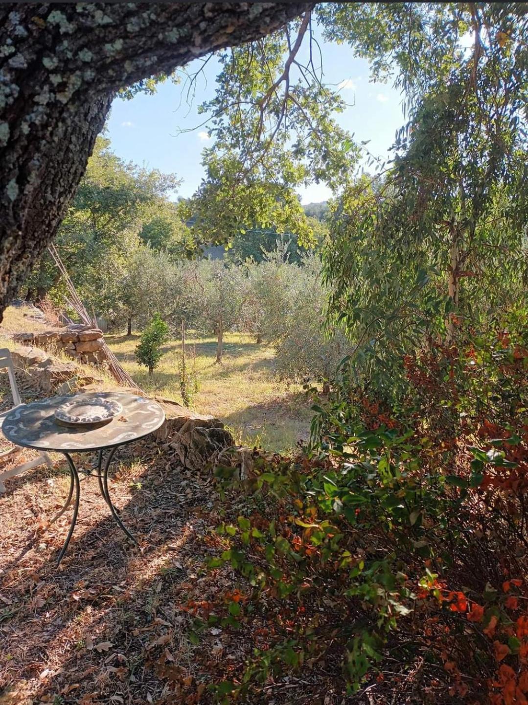 Апартаменты Casa In Maremma Монтемерано Экстерьер фото