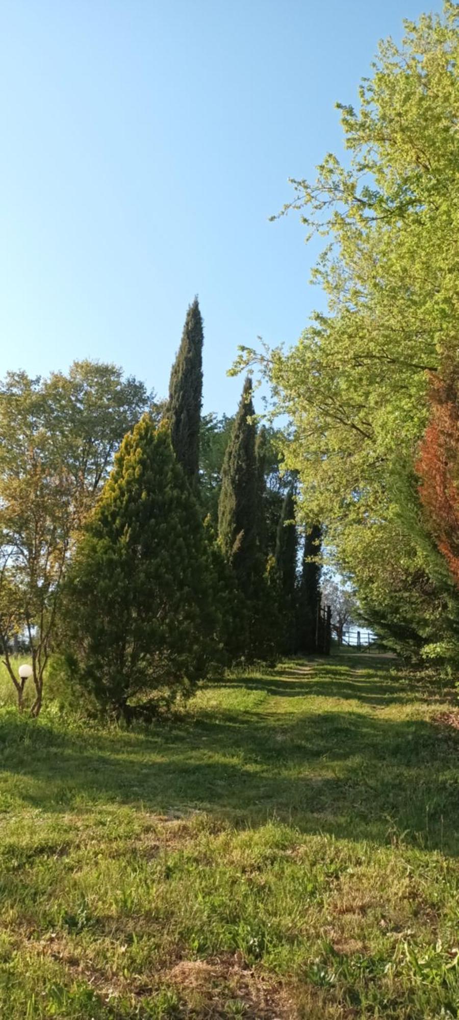 Апартаменты Casa In Maremma Монтемерано Экстерьер фото